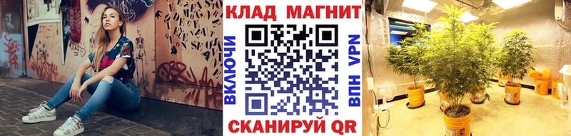 Цена Альметьевск КОКАИН  Alpha-PVP  LSD-25  ГАШ  МАРИХУАНА  Меф мяу мяу 