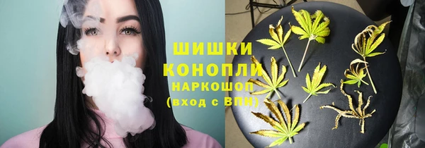соль ск Кукмор