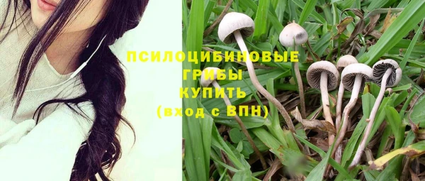 соль ск Кукмор