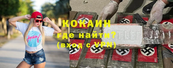 ПСИЛОЦИБИНОВЫЕ ГРИБЫ Кулебаки