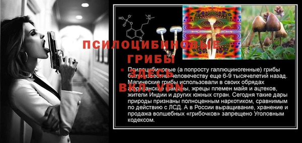 соль ск Кукмор
