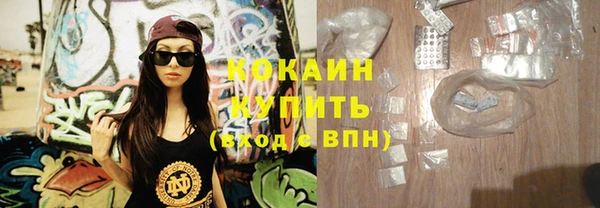 соль ск Кукмор