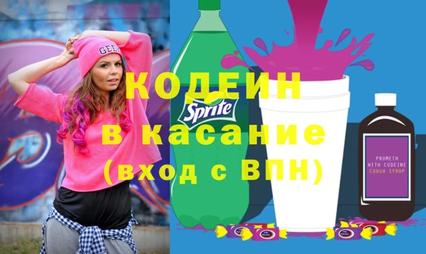 соль ск Кукмор