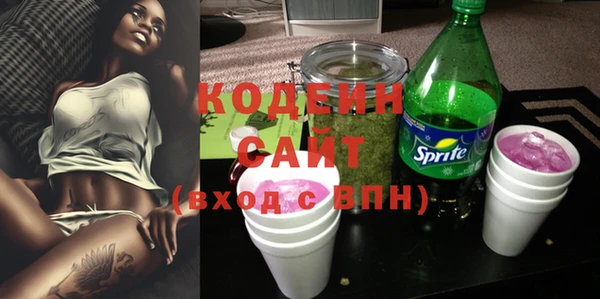 соль ск Кукмор