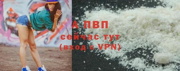 ПСИЛОЦИБИНОВЫЕ ГРИБЫ Кулебаки