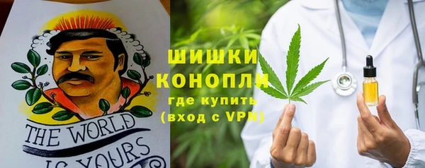 ПСИЛОЦИБИНОВЫЕ ГРИБЫ Кулебаки