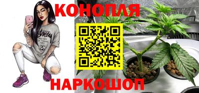 прущие грибы Азнакаево