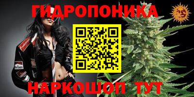 прущие грибы Азнакаево